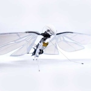 drona-zburatoare